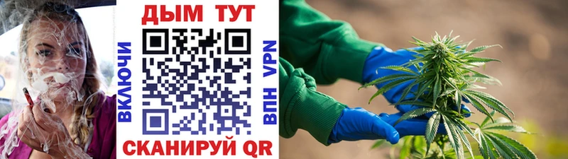 Виды наркотиков купить Кудымкар ГАШИШ  Каннабис  Кокаин  Мефедрон 