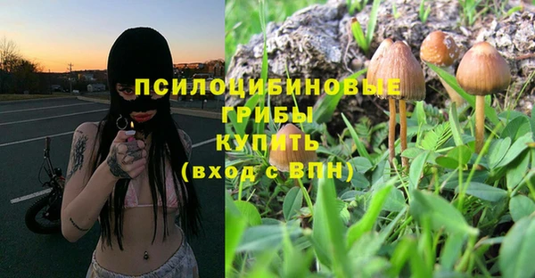 круглые Абаза